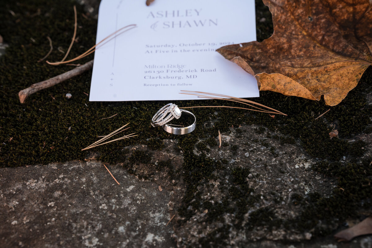 Maryland wedding — editorial style portrait at Frederick area venue