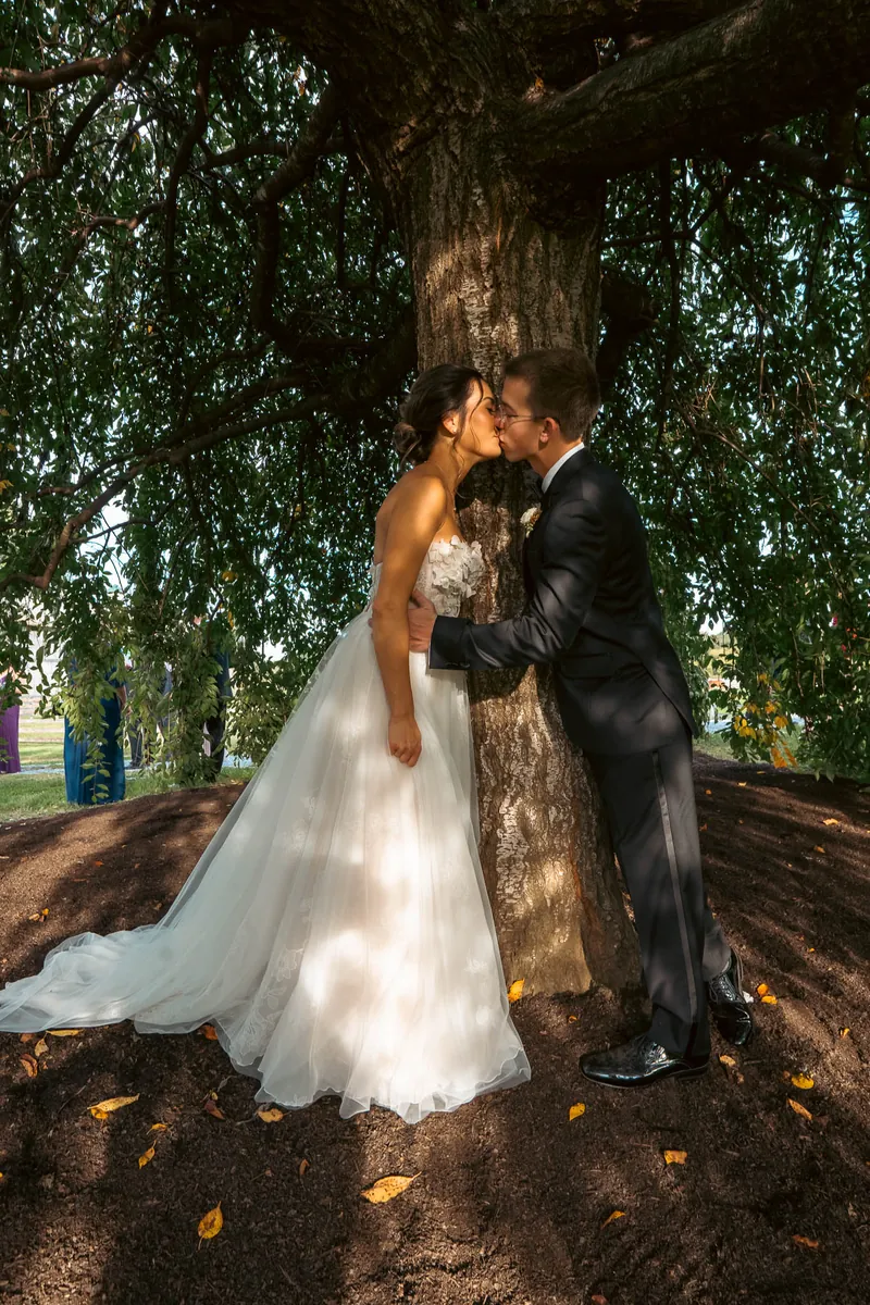 Couple beneath the weeping willow at golden hour — Sylvanside Farm